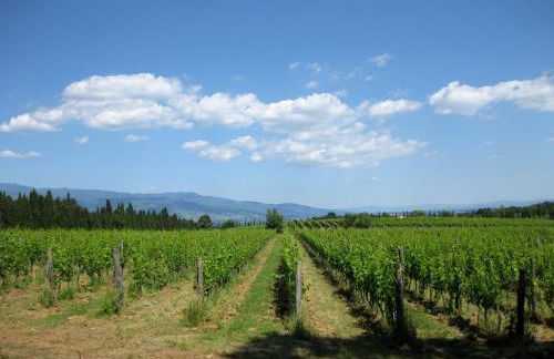 Casa Billi - Foto 21