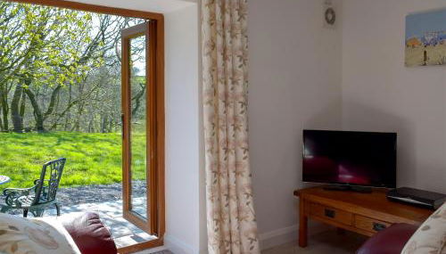 Hen Llaeth - Uk11209 - Foto 2