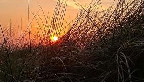 Grit´s Ferienwohnung - Foto 5