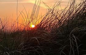 Grit´s Ferienwohnung - Foto 5