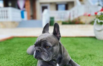 Holiday home Iva with pool - Foto 17