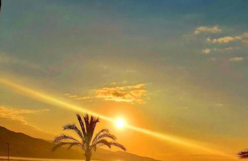 Atelier Sonia - Foto 2