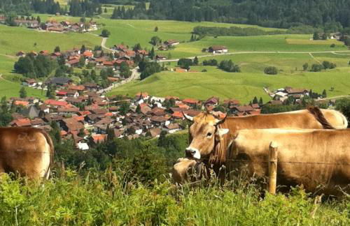 Ferienwohnungen Alpentraum - Alpentraum - Photo 16