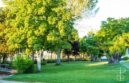 Quinta do Poço Novo - Foto 69