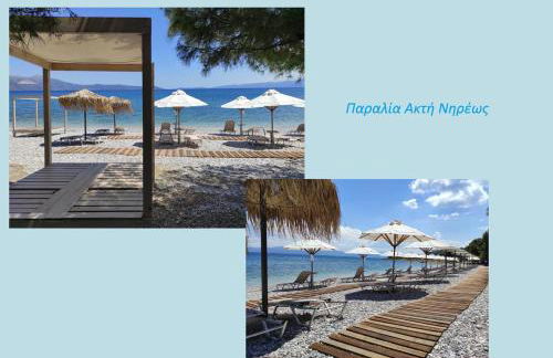 Ανέμη - Foto 31