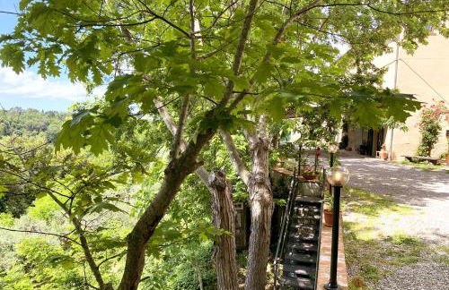 La Tonnaia - Foto 61