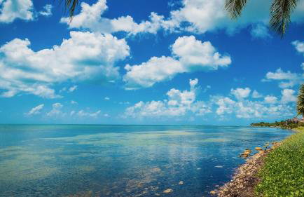 Conch in the Treetops by Last Key Realty - Foto 15