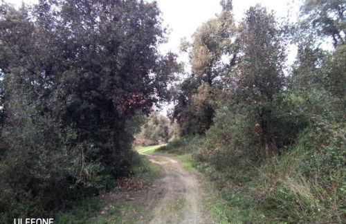 Casa nel parco sulla spiaggia - Foto 8