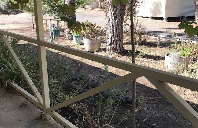 Padthaway Caravan Park - Foto 57