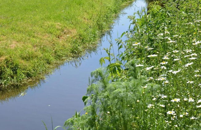 Pretty Cottage Ardennes near Valley of Lesse & Semois - Foto 36