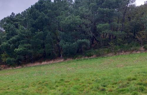 Gite la Tourterelle en Auvergne - Photo 39