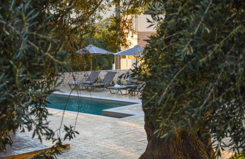 PAUL'S VILLA PLAKIAS - Photo 48