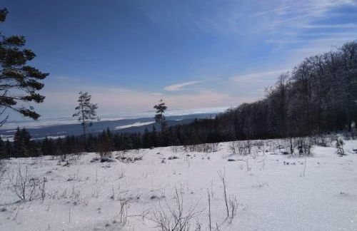 Haus Kellerwald - Ferienwohnung Kellerwald-Edersee - Foto 43