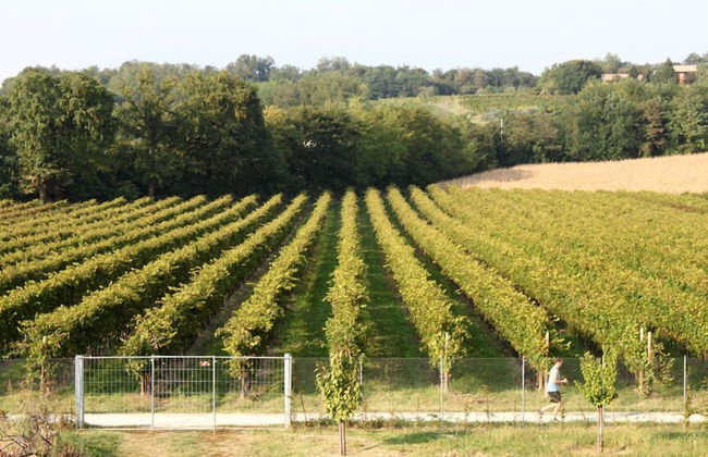 Agriturismo Caspineda - Foto 23