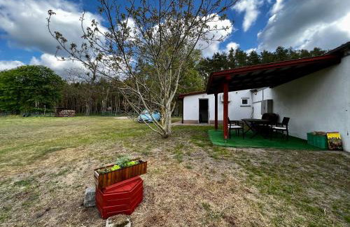 Domek nad Wartą - Foto 2