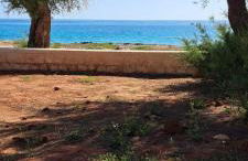 Casa Chiara - Foto 15