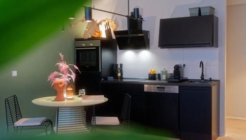 City Center Unique Boutique Apartment - Foto 4, stove, pet friendly, minibar