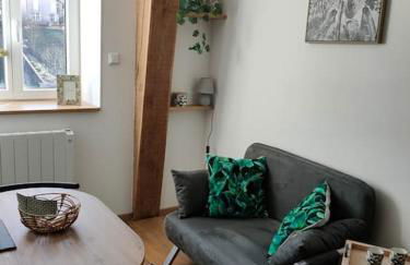 Superbe T2 neuf dans maison de maitre hyper centre - Foto 8