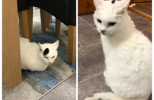 Room with a view - Foto 47