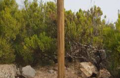 Casa da Tia Clementina - Foto 39