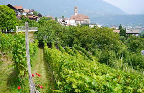 Weingut Pardellerhof - Foto 25