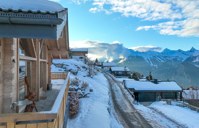 Ratatouille - Foto 2