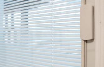 Little Gem - Foto 17