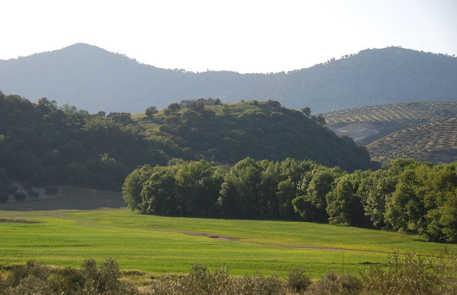 El Rincón de Carmen - Foto 49