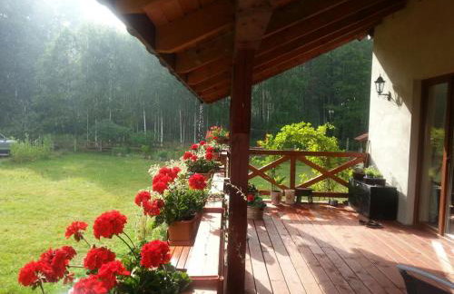 Dom w Sąpach - Foto 33