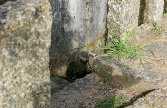 Casa Codesal Apartamentos - Foto 9