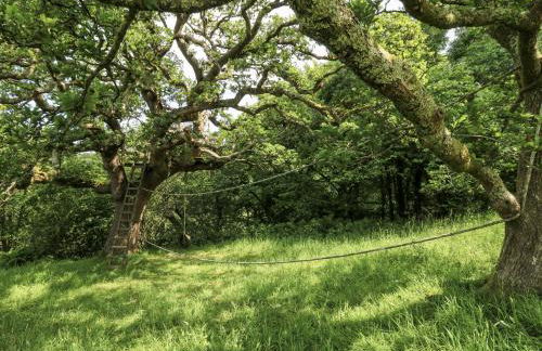 Plas Pontfaen - Foto 36