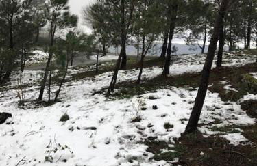 Casa da Carvalha - Ádela - Foto 30