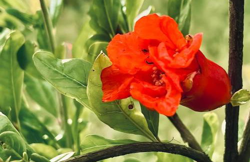 Casa do Alto (top floor apartment) - Foto 76