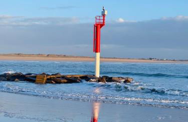 Au petit Cachou - Photo 11