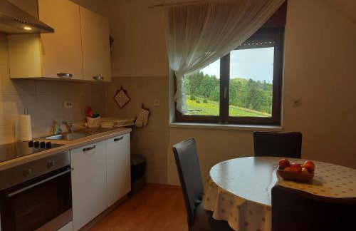 Apartman Skender 3* Ravna Gora - Foto 64