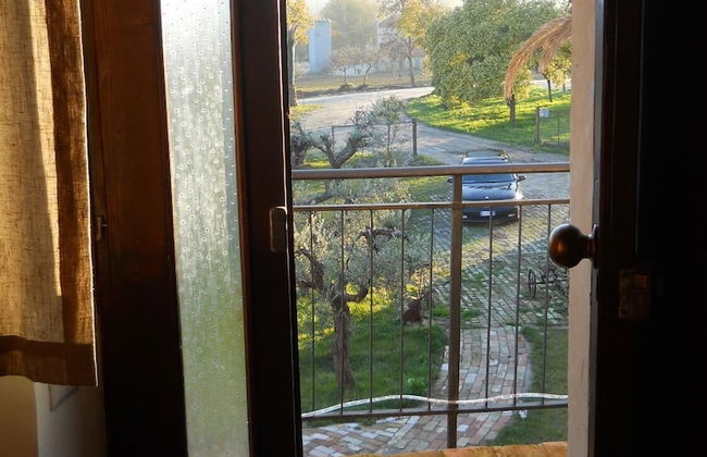 Agriturismo Bassarì - Photo 28