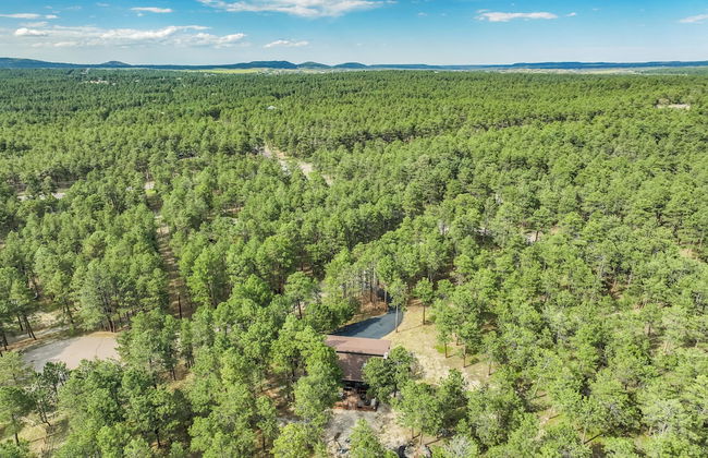 Buckskin Hideaway - Foto 55