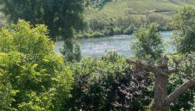 Ferienwohnung FM Moselle - Foto 3