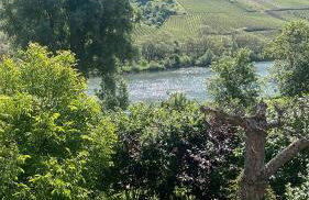 Ferienwohnung FM Moselle - Foto 3