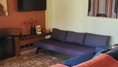 João-de-barro - Foto 2