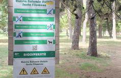 Casa Vacanze SANTAFE'- ATTICO a due passi dal Mare - PARCHEGGIO Privato - Foto 47