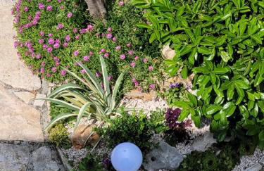 Ljubica Apartman - Photo 28