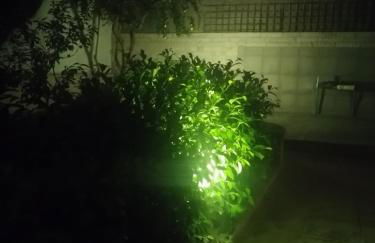 Fella Chalkida - Foto 48