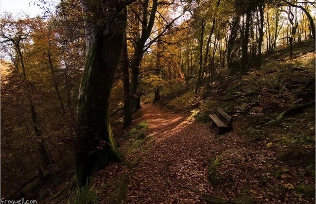 Gorgeous Comrie Cottage, hot tub & Mountain Views - Foto 19