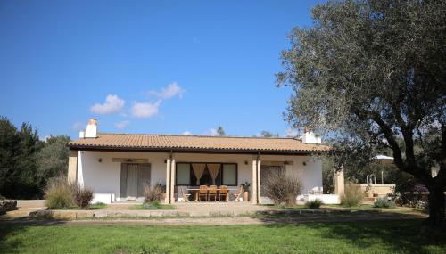 TENUTA VIGNACARRIZZO Vacanze relax - Foto 2, Garden