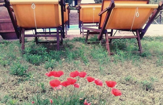 Bed & Breakfast Cortebella - Foto 38