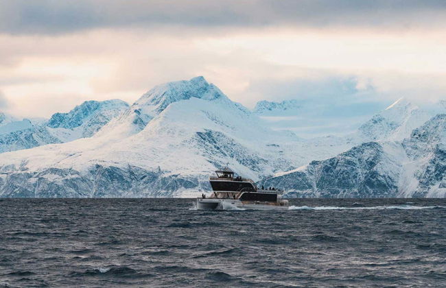 Whale Watching Fjord Cruise - Foto 5