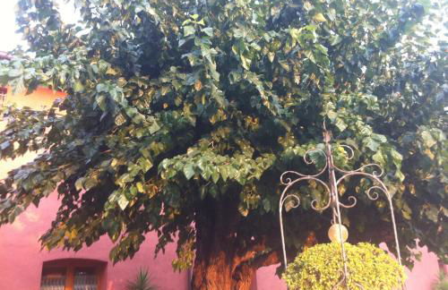 Agriturismo Al Casale - Foto 26