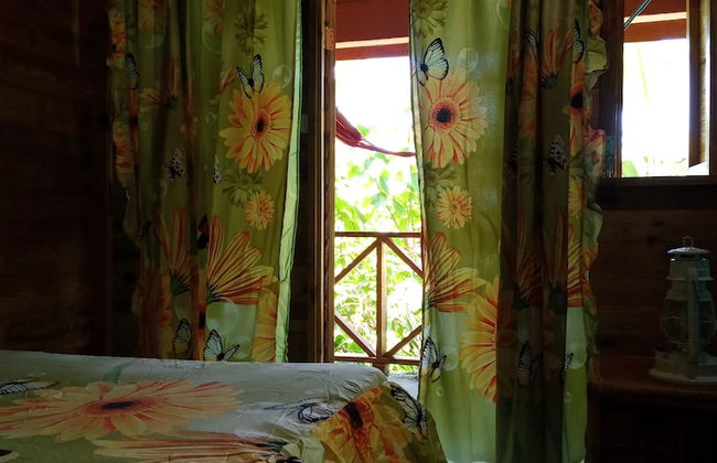 Berkey's Jungle Paradise - Photo 8