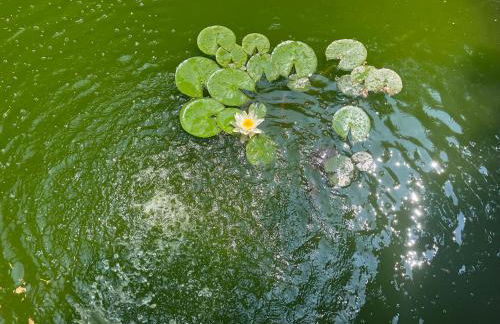 Bastide en Provence - Foto 23
